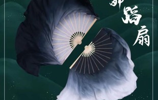全竹折扇怎么选？墨绿仙鹤vs黑红撞色，一文看懂新中式配饰差异