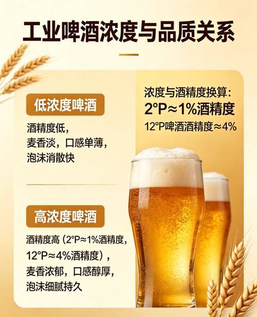 鲜啤怎么选？30公里、青岛、鹅岛三大品牌深度对比