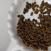 实用养猫好物分享：无谷猫粮与软头梳