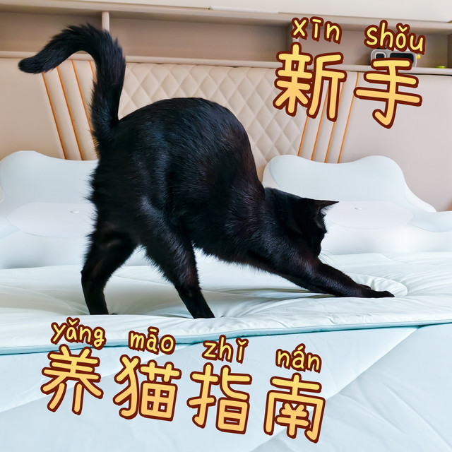 新手养猫指南：砖家说干粮不好、湿粮也不好？本喵全都要！