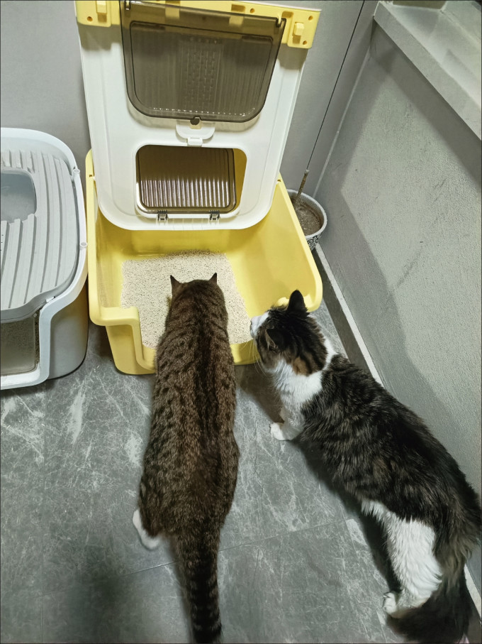 日用清洁