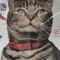 希尔思金标泌尿去毛球成猫粮