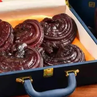 灵芝哪个牌子的是正品？内幕一次讲透！一线灵芝品牌全面解析
