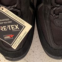 ecco biom c trail入手