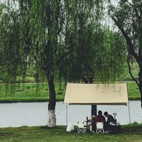 宠物保险连年翻倍增长,为何理赔总被拒?真相和避坑指南来了