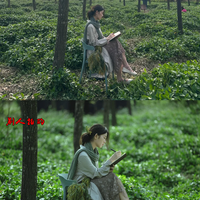 长焦怎么选？OPPO双潜望 vs iPhone单镜，谁更懂你拍照需求