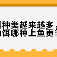 VIB和米诺怎么选？新手别踩坑，一张表说清谁更适合你