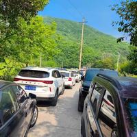 同名不同命！蒲江vs巩义明月村，谁才是你的理想乡村游？