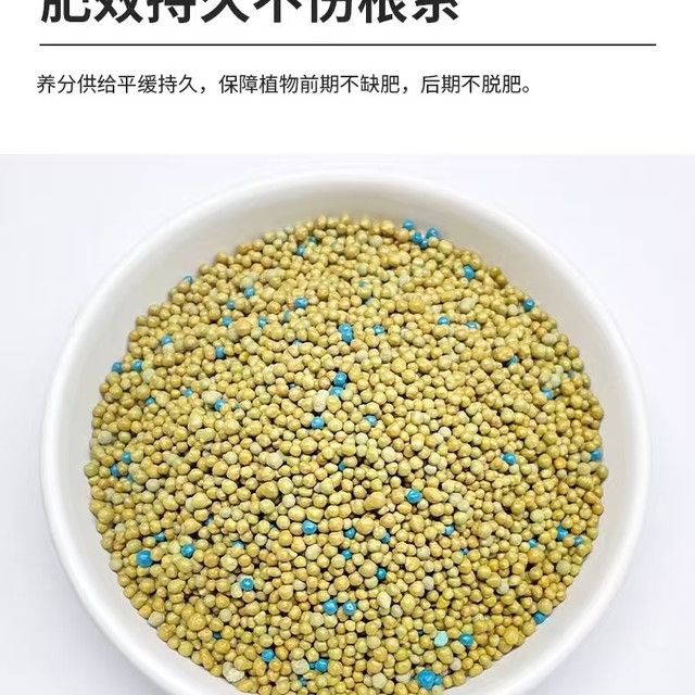 月季爆花万能肥｜虹越奥绿 318S 真的稳