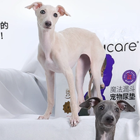 实测honeycare“魔法漏斗”尿垫，真不反渗治好了我家狗的湿脚症