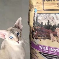 无谷高肉配方｜NG恩萃紫鸡猫粮软便救星实锤