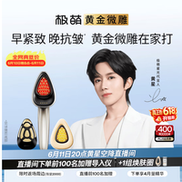 极萌 提拉紧致淡纹抗衰家用美容仪化妆镜 购买分析