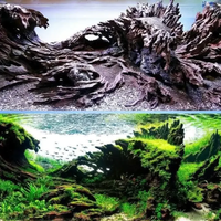 2026草缸底床怎么选？水草泥、火山石、河沙三大方案深度对比