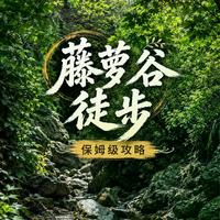 藤萝谷真面目：网红“绿野仙踪”实为高风险野穿线