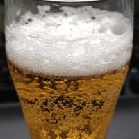 科罗娜经典拉格vs海盐番石榴果啤：哪款更适合你？