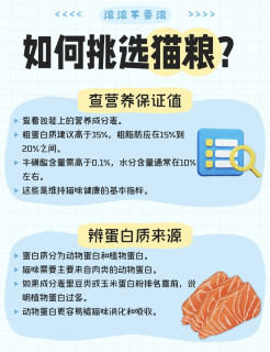 养金渐层2年血泪总结｜猫粮选购避坑指南，新手直接抄作业