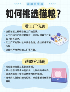 养金渐层2年血泪总结｜猫粮选购避坑指南，新手直接抄作业
