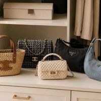 Gucci老花Hobo vs 国产黑马：通勤包怎么选才不踩雷？