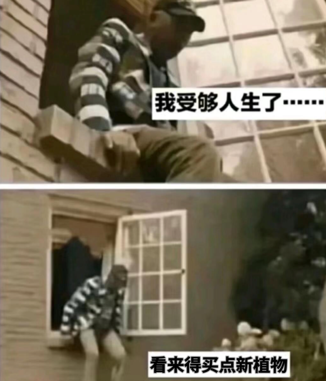 评论有奖|步入中年后,这些兴趣爱好貌似突然就觉醒了……