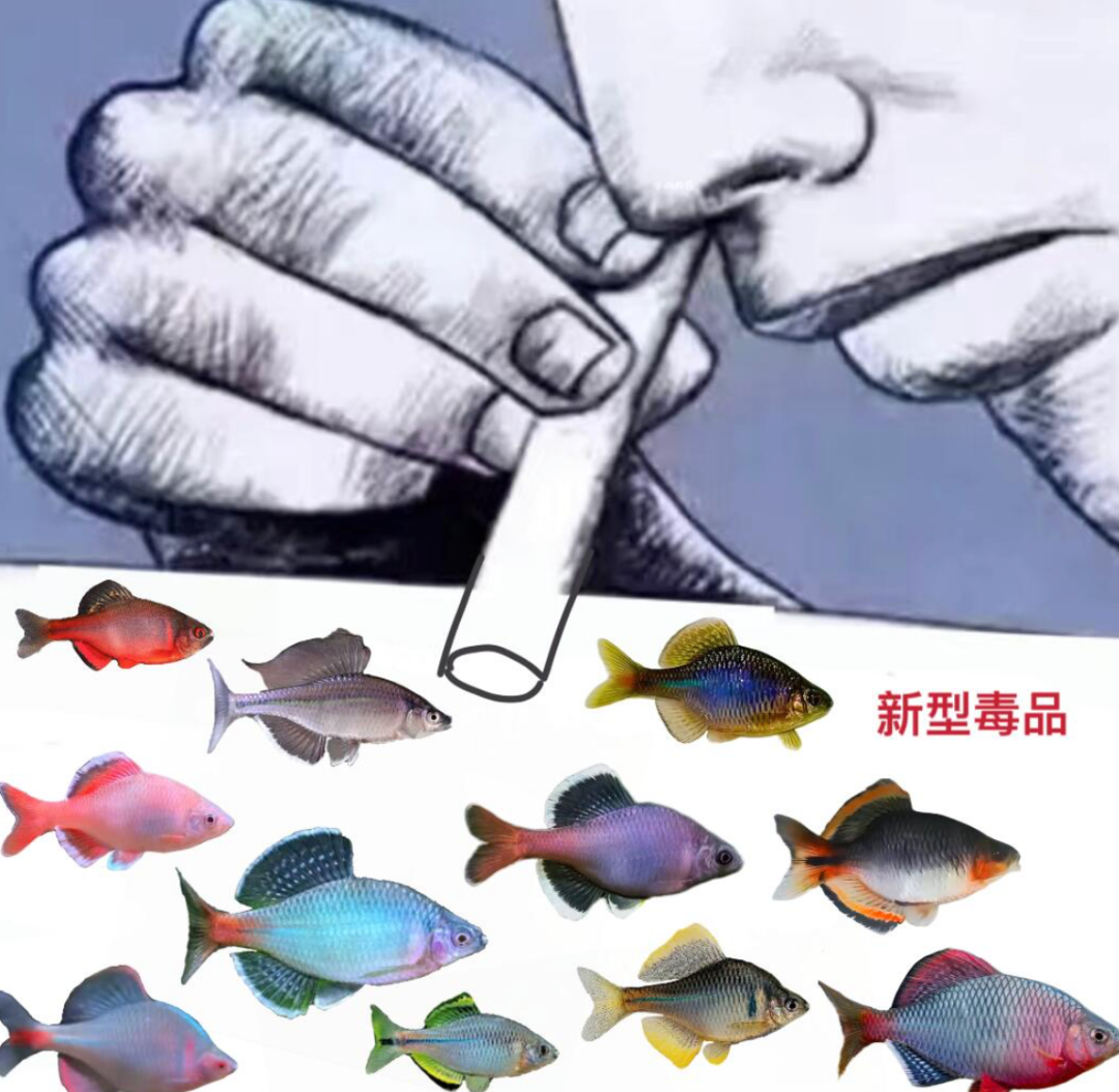 评论有奖|步入中年后,这些兴趣爱好貌似突然就觉醒了……