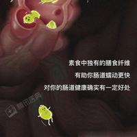 纯素vs蛋奶素：营养差距在哪？选错可能缺B12、掉肌肉