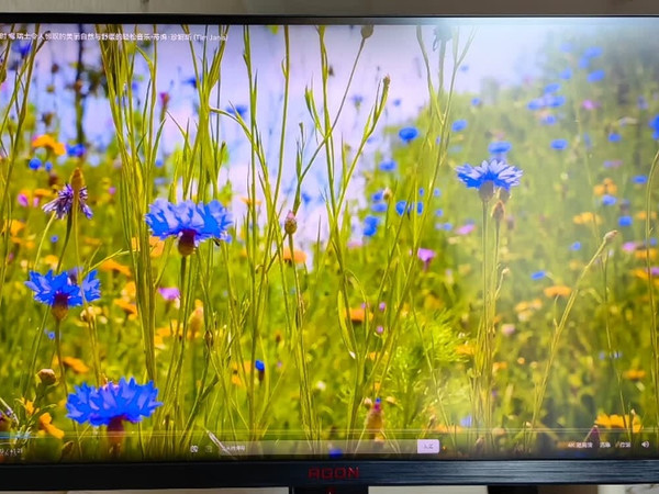 AOC爱攻AG276UZD：电竞神器？