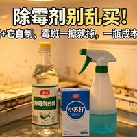 冰箱门封发黑别乱擦！90%的人不知道的除霉真相