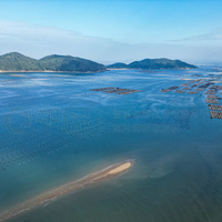 东山岛三大海湾怎么选？鱼骨沙洲、金銮湾、马銮湾深度对比避坑指南
