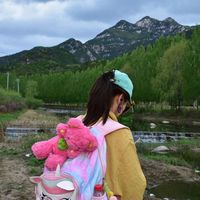 生酮vs高蛋白低碳：谁才是对抗脑雾的真正王者？
