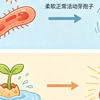 益生菌洗衣液是智商税吗?我问了一个学微生物的朋友,听懂了