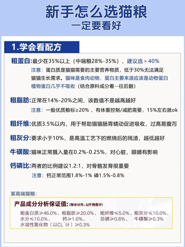 养猫3年踩坑无数！新手猫粮选购全攻略｜真实避坑指南