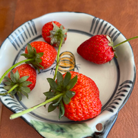 几个草莓要五十？老头说得我哑口无言🍓
