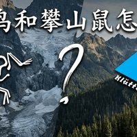 始祖鸟和攀山鼠怎么选？从装备党的角度，聊聊两个户外“贵族”品牌的真实差别