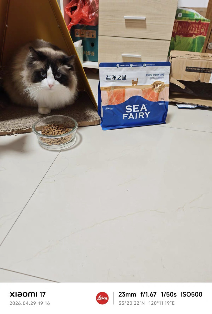 海洋之星猫粮