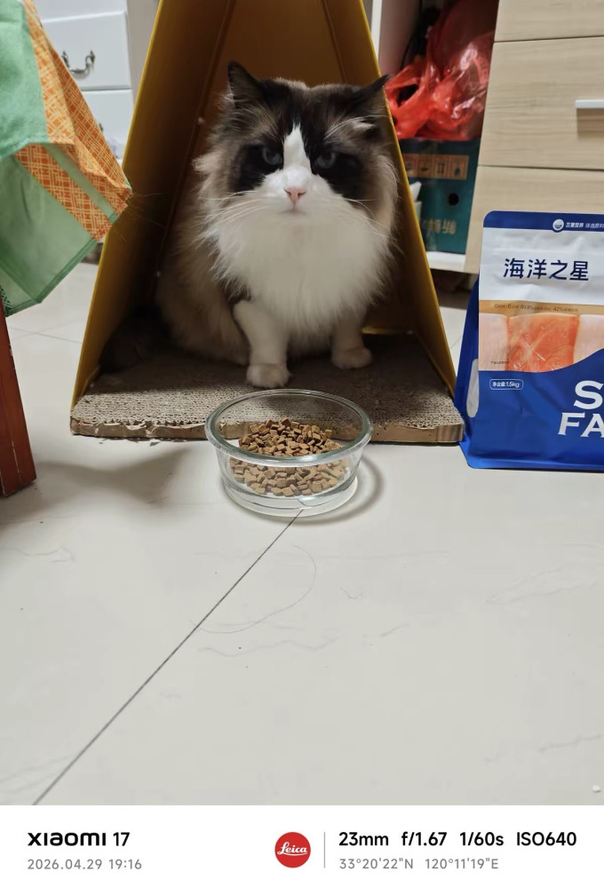 海洋之星猫粮