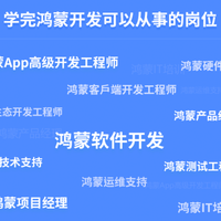 普通人如何靠鸿蒙副业接单变现