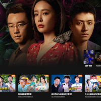 网易云黑胶VIP值不值？2026最新价格权益全解析，对比QQ音乐Apple Music怎么选