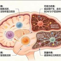 黑巧包装上的70%、85%到底代表什么？别再只看甜苦了