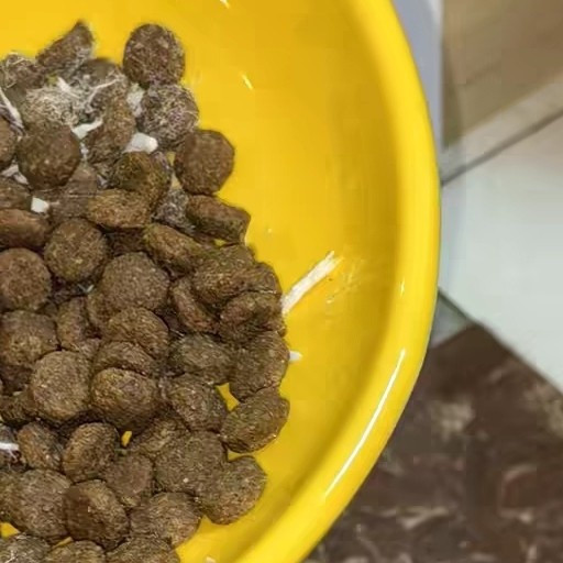 法米娜鸡肉猪肉猫粮,营养均衡