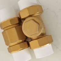 全屋净水里面立式卧式两种止回阀单向阀逆止阀选购攻略
