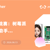 树莓派跑AI智能体？本地vs云端方案全解析