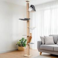 小户型养缅因猫，关键在垂直空间