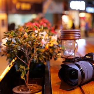 70-200mm F2.8怎么选？索尼GM2和适马“小黑”实测对比
