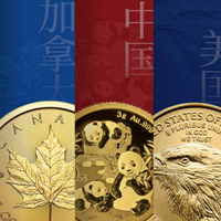 世界五大投资金币深度对比：谁更适合中国投资者？