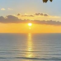 鱼油哪个牌子的胶囊口感更清爽无鱼腥味？2026年鱼油适口榜测评