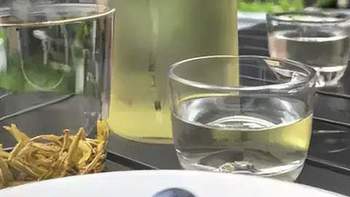 什么茶冷泡比较好喝？冷泡茶大评测！｜冷泡攻略+风味评测