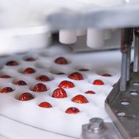 免洗红枣真能开袋即食？标准、工艺与争议全解析