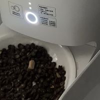智能分仓喂食器解决多猫抢食问题