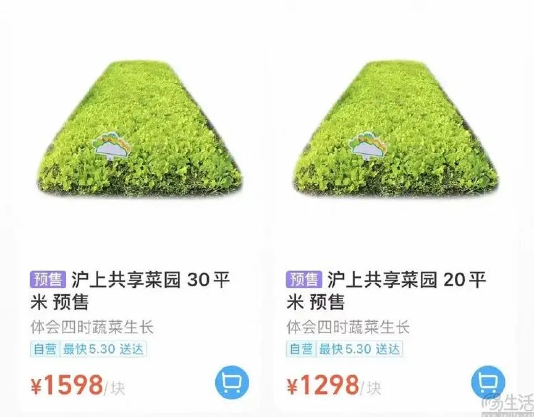 盒马在沪推出“共享菜园”，年租金1298元起