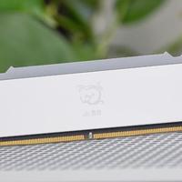 2026装机必看：DDR4还是DDR5？实测差距惊人，选错真拖后腿